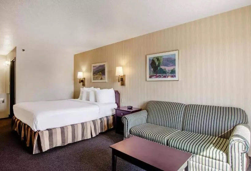 اتاق استاندارد با تخت بزرگ, Americas Best Value Inn & Suites Ft. Collins E At I25