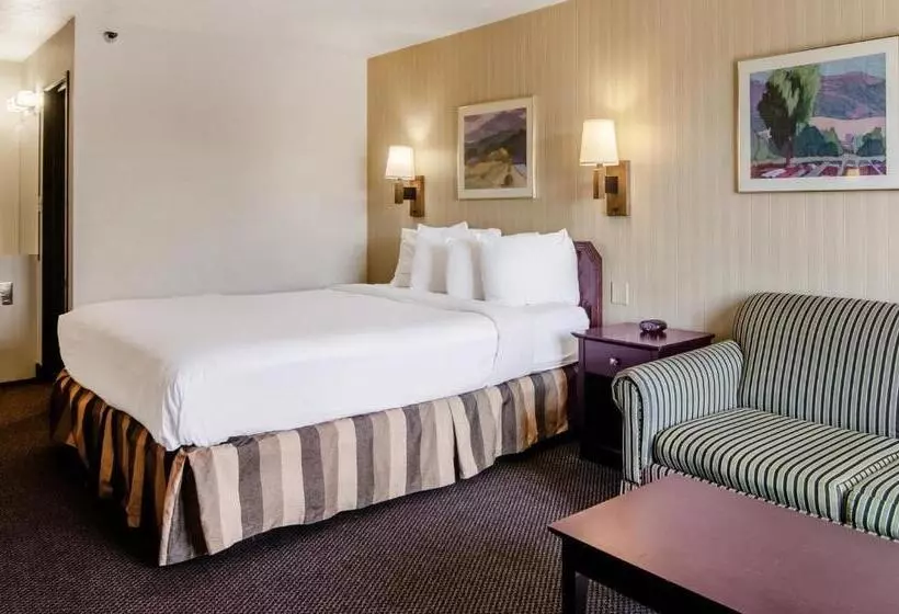 اتاق استاندارد با تخت بزرگ, Americas Best Value Inn & Suites Ft. Collins E At I25