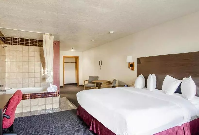 سوئیت با تخت بزرگ, Americas Best Value Inn & Suites Ft. Collins E At I25