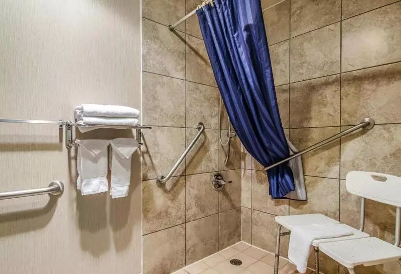 اتاق استاندارد با تخت بزرگ برای معلولان, Americas Best Value Inn & Suites Ft. Collins E At I25