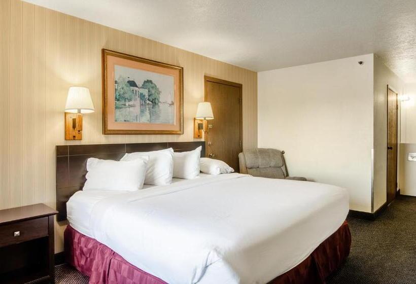 스탠다드 룸 킹사이즈 침대, Americas Best Value Inn & Suites Ft. Collins E At I25