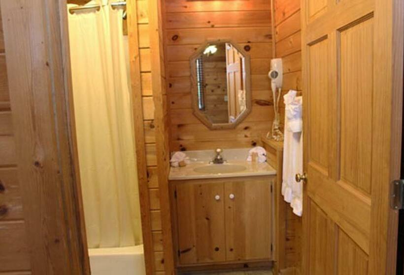 스탠다드 룸 퀸사이즈 침대, Mountain Top Inn And Resort