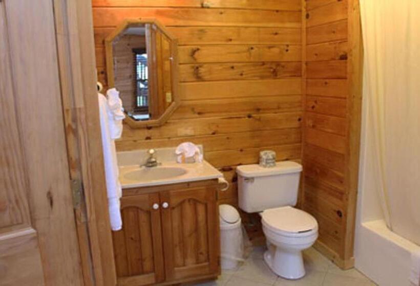 스탠다드 룸 킹사이즈 침대, Mountain Top Inn And Resort