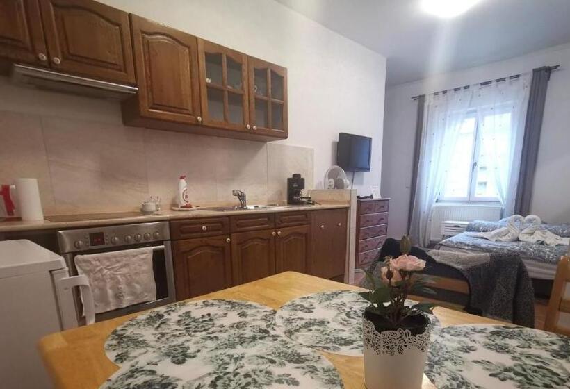 شقة غرفة واحدة, Villa Florencia