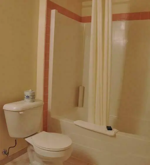 اتاق لوکس با تخت بزرگ, Western Budget Motel Leduc #3