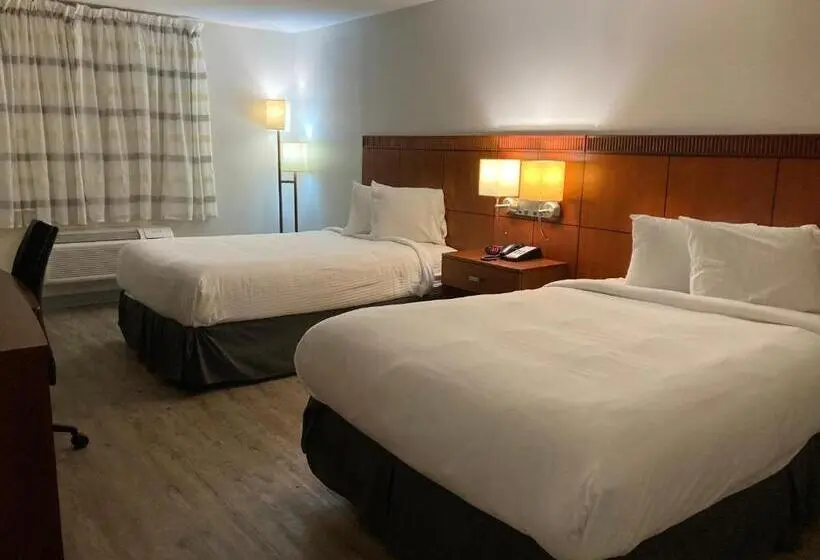 Standard-huone, The Hotel Orange