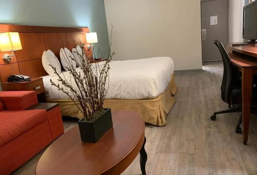 Standard-huone King-vuode, The Hotel Orange