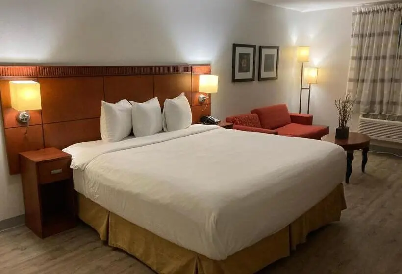 Deluxe-huone King-vuode, The Hotel Orange