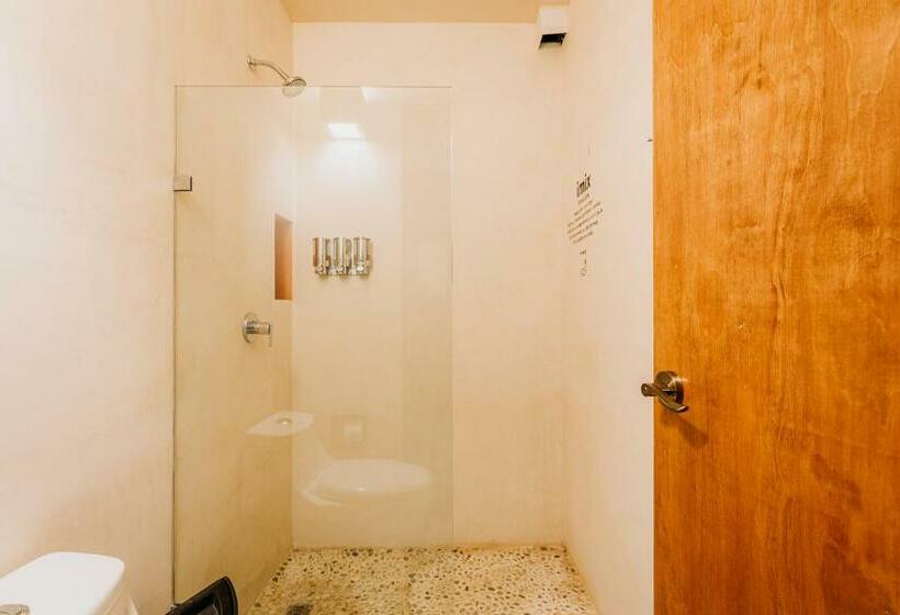 سوئیت جونیور با تراس, Waye