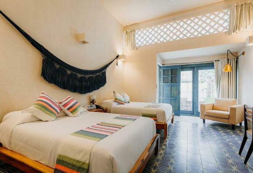 سوئیت جونیور با تراس, Waye