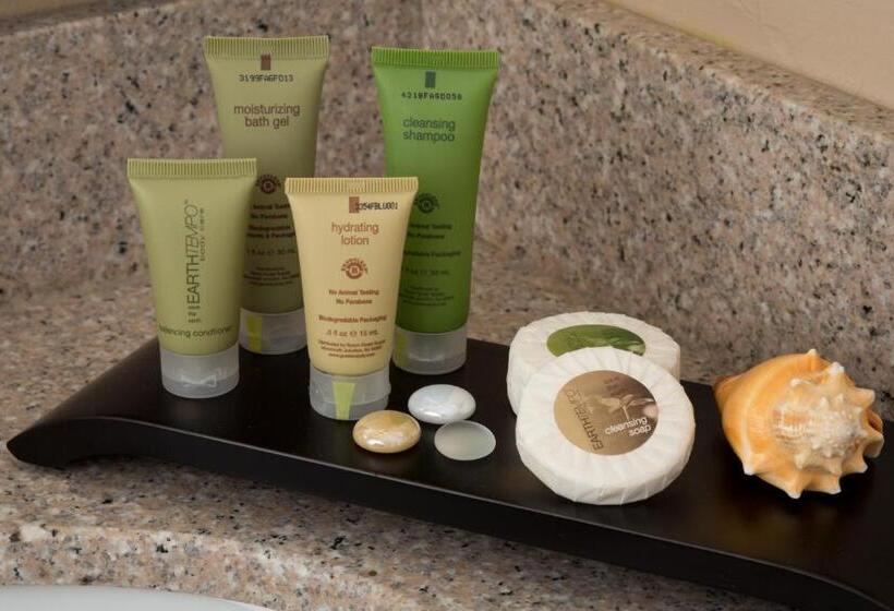 Номер Стандарт 2 Двуспальные Кровати, Bayside Resort