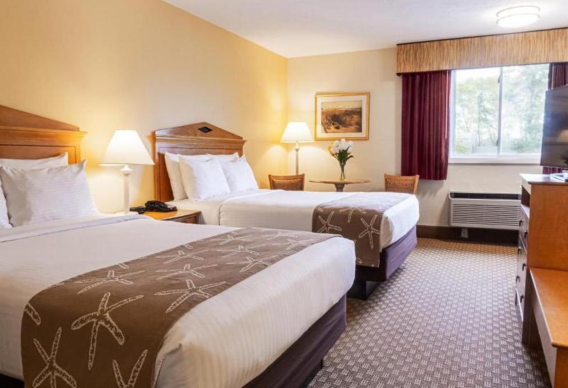 Номер Стандарт 2 Двуспальные Кровати, Bayside Resort