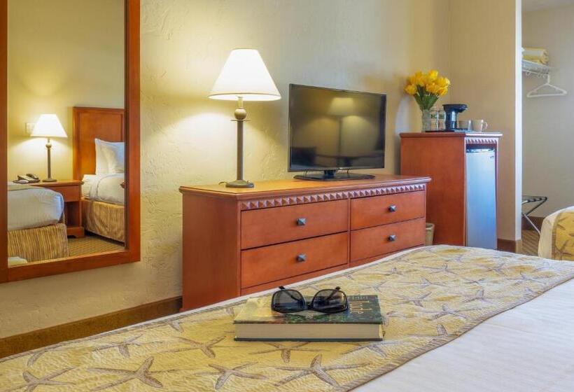 Номер Стандарт, Bayside Resort