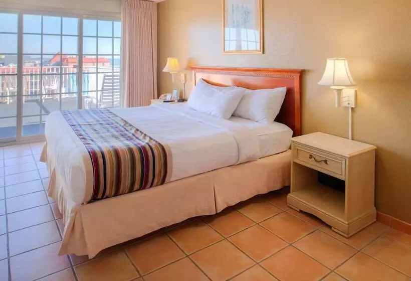シングルデラックスルーム, Paradise Plaza Inn