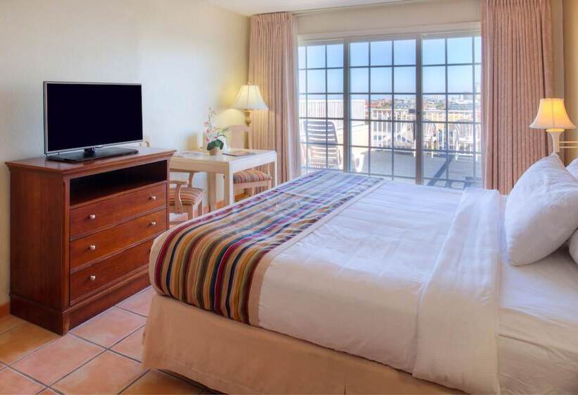 带观景的标准间, Paradise Plaza Inn