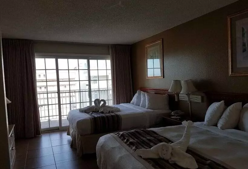 シングルデラックスルーム, Paradise Plaza Inn