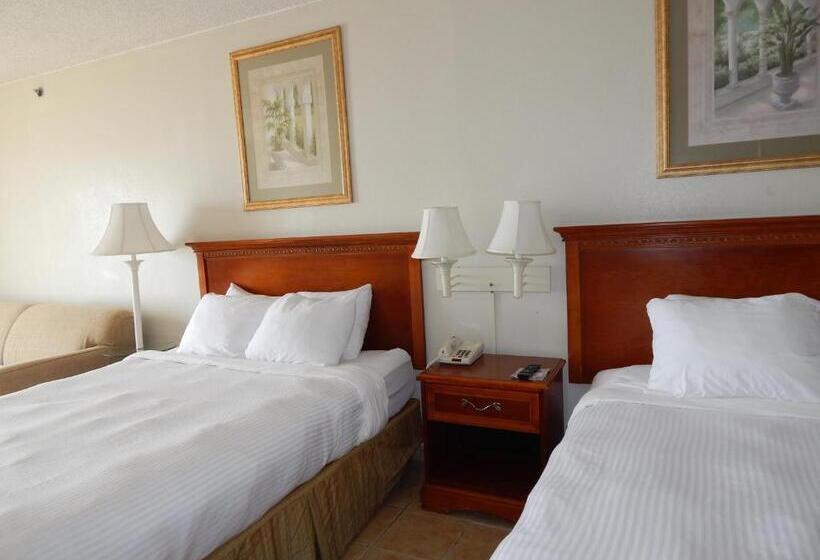 带城市景观的标准间, Paradise Plaza Inn