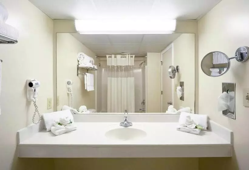 スイート, Paradise Plaza Inn