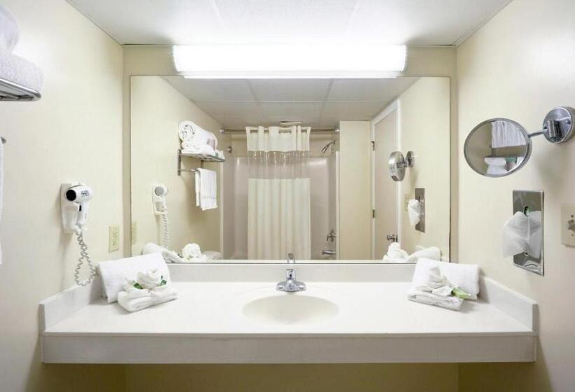 带大床的标准工作室, Paradise Plaza Inn