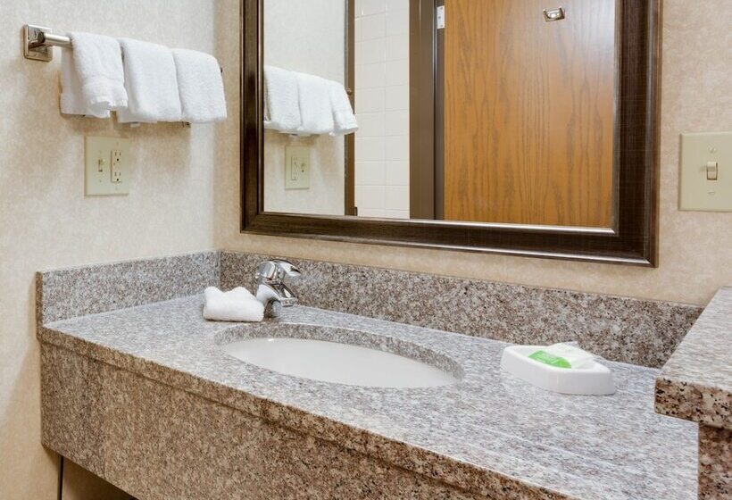 デラックスルーム, Wingate By Wyndham St Louis Fenton Route 66