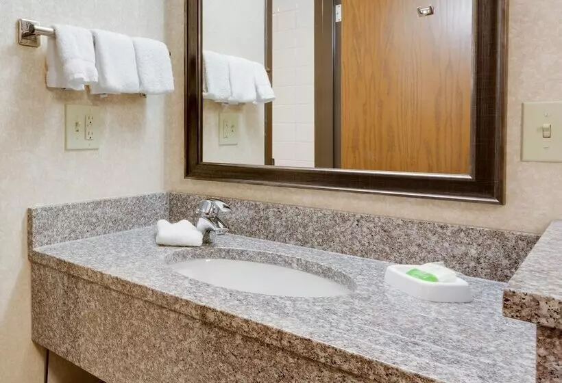 デラックスルーム, Wingate By Wyndham St Louis Fenton Route 66
