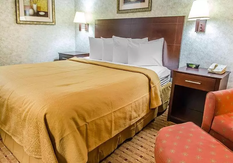 キングサイズベッドのスタンダードルーム, Quality Inn