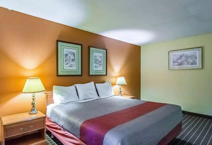 キングサイズベッドのデラックスルーム, Motel 6grand Rapids, Mi  Northeast