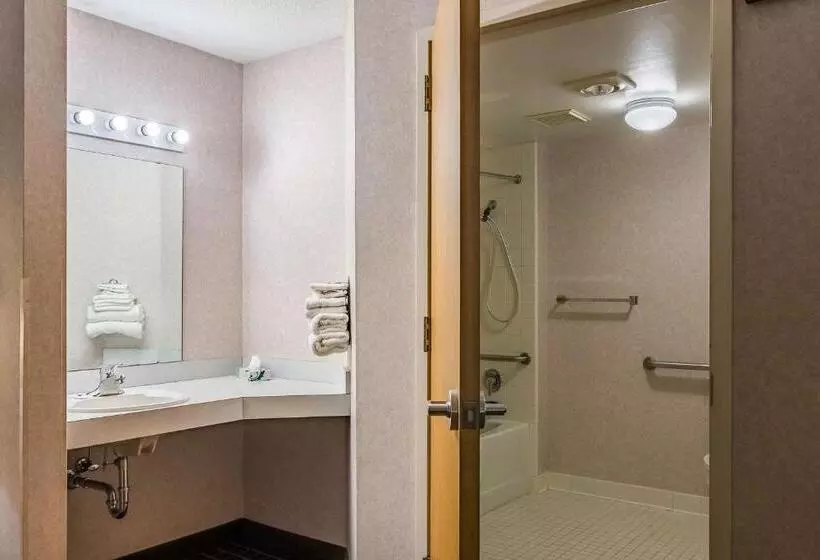 身障者適用キングサイズベッドルーム, Motel 6grand Rapids, Mi  Northeast