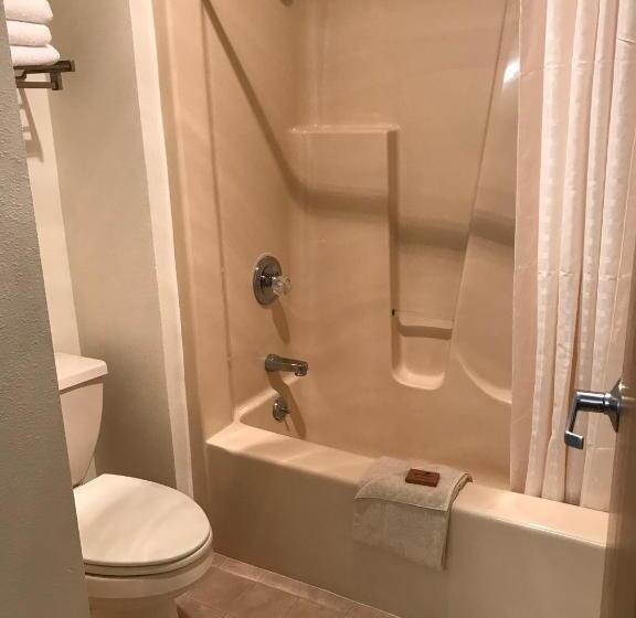 סוויטה משפחתית, Dutch Country Inn