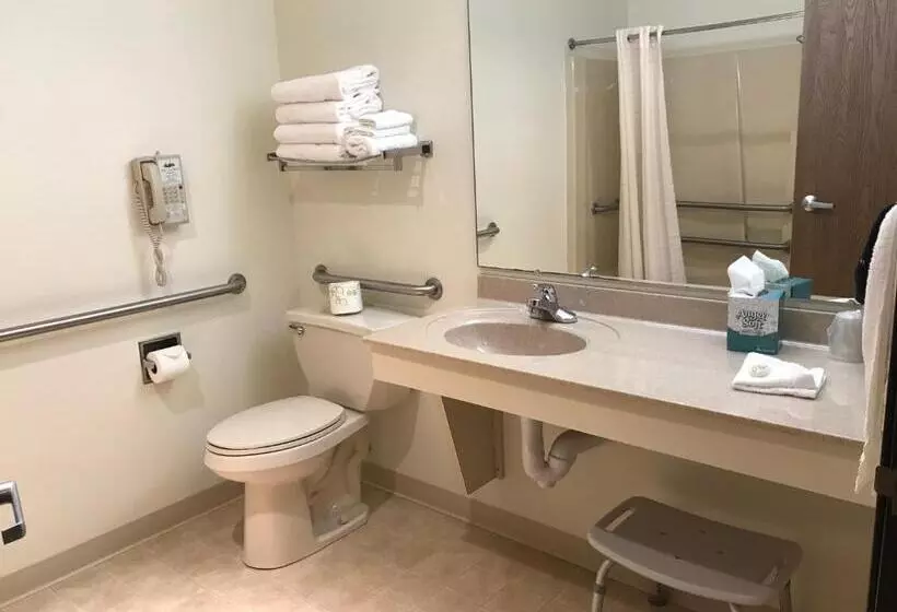 身障者適用スタンダードルーム, Dutch Country Inn