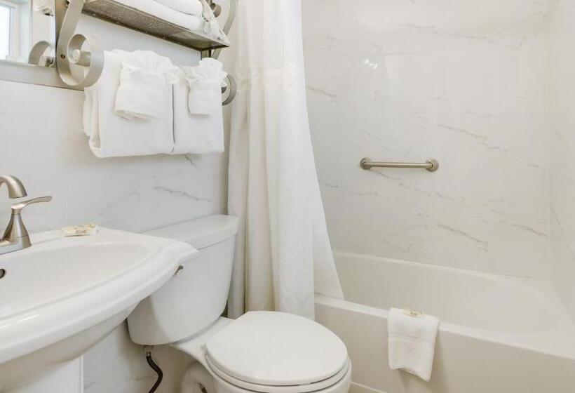 스탠다드 스튜디오, Palm Crest Resort Motel