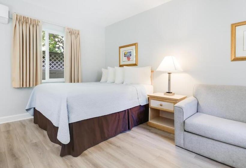 Escritório Estándar, Palm Crest Resort Motel