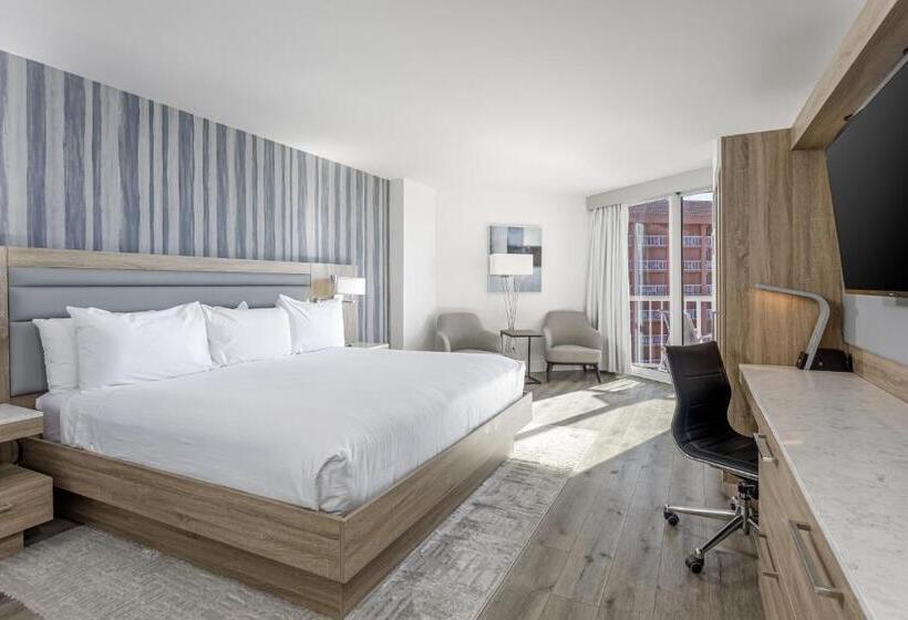 스탠다드 룸 킹사이즈 침대, Perdido Beach Resort