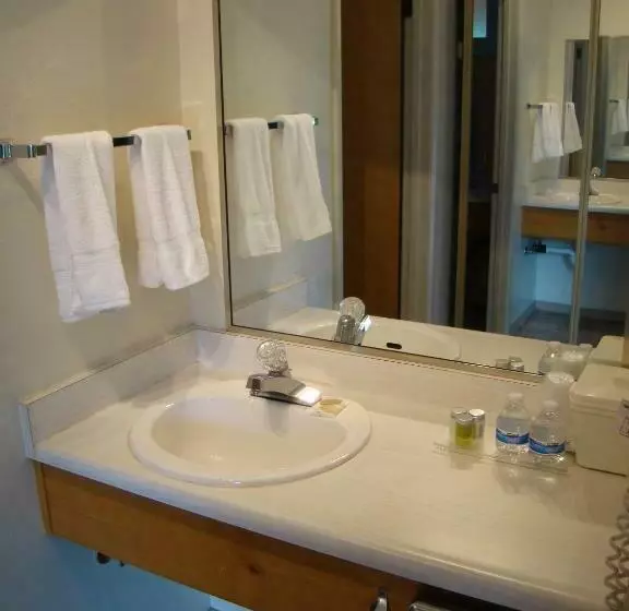 اتاق استاندارد با تخت بزرگ, Ponderosa Gardens Motel