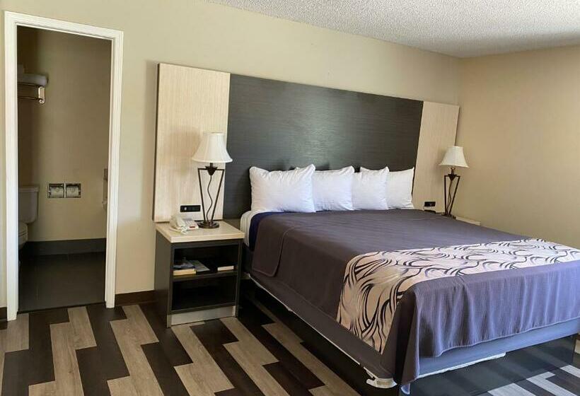 اتاق استاندارد با تخت بزرگ, Regency 7 Motel