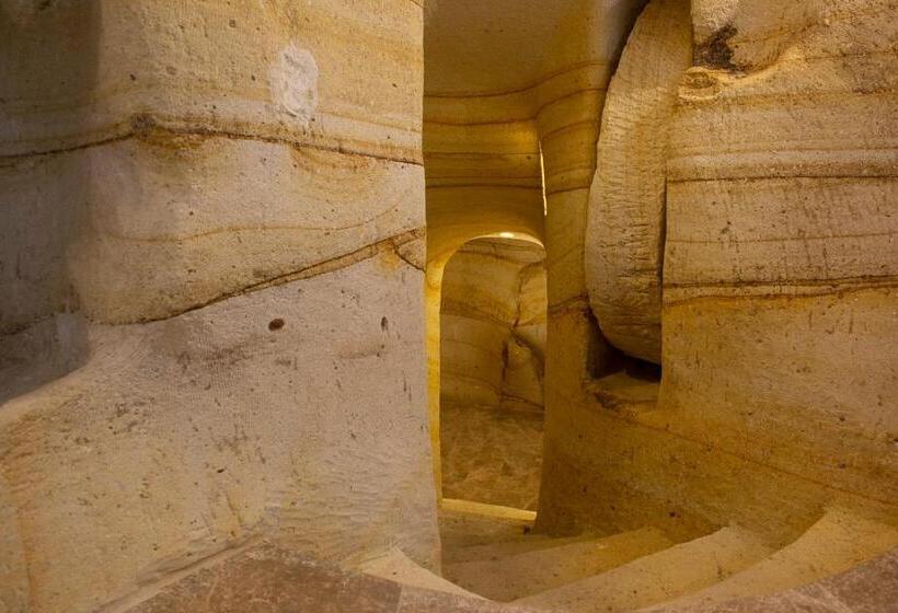 מיטת קינג בסוויטה, Zeydem Suites