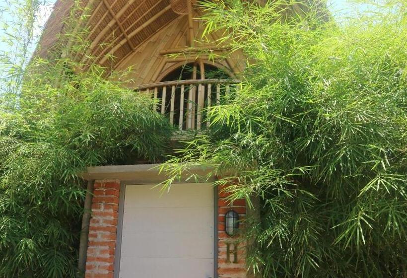 小型套房带阳台, Hawera Village