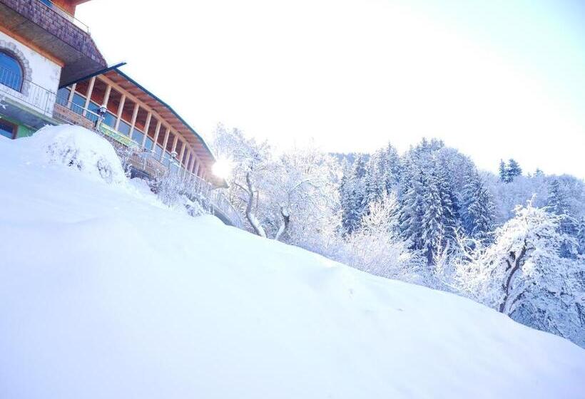 带山景的复式房间, Be 550