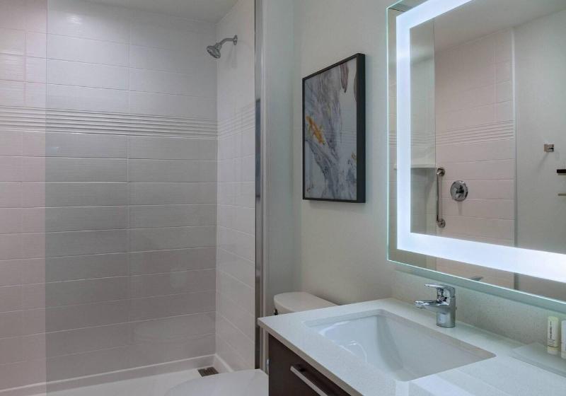 クイーンベッドのスタンダードスタジオ, Towneplace Suites San Antonio Northwest At The Rim