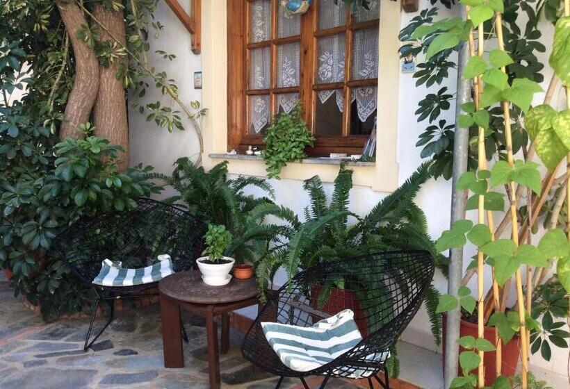 استودیوی استاندارد, Studios Nopi Zoi