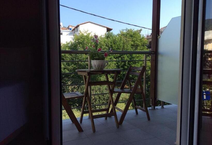 استودیوی استاندارد, Studios Nopi Zoi