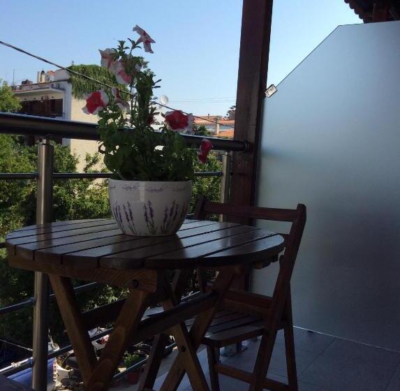 استودیوی استاندارد, Studios Nopi Zoi