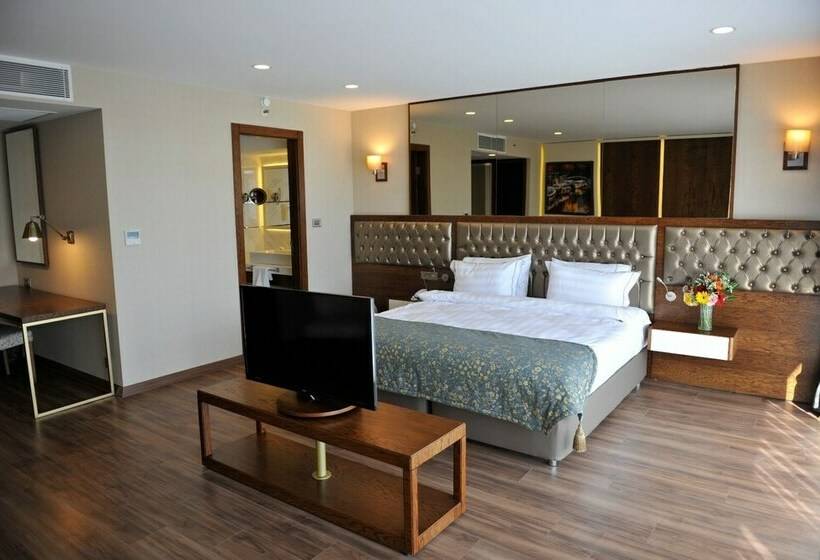 חדר סטנדרט, Smart By Dedeman Eskisehir