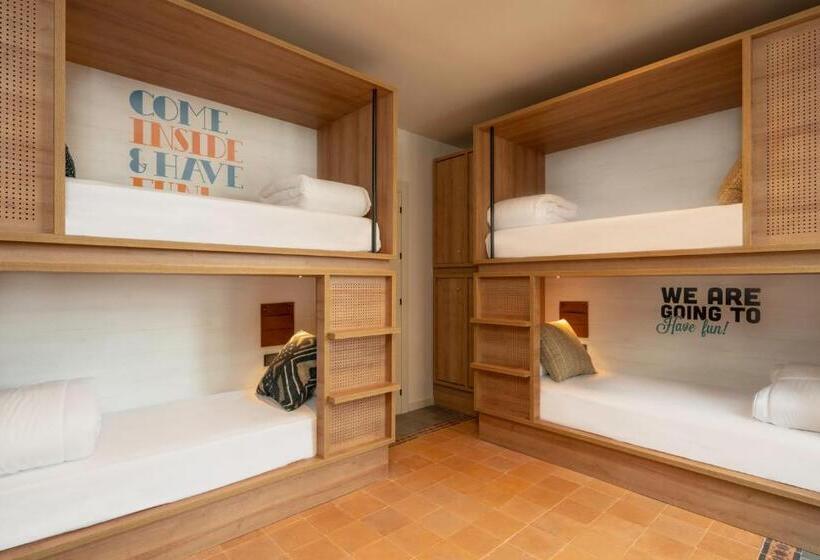 تختخواب در اتاق مشترک, Toc Hostel Granada