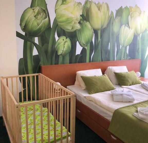 スタンダードルーム, Sorea Trigan