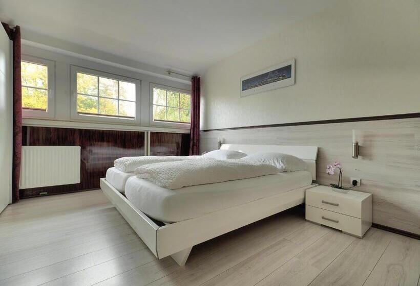 高级大房间, Parkhotel Wienburg Münster