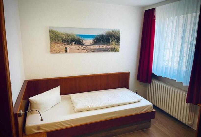 Habitación Estàndard Individual, See