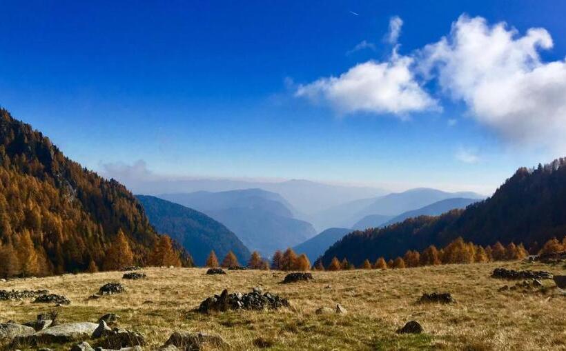 غرفة إقتصادية فردية, Taxus Hostel