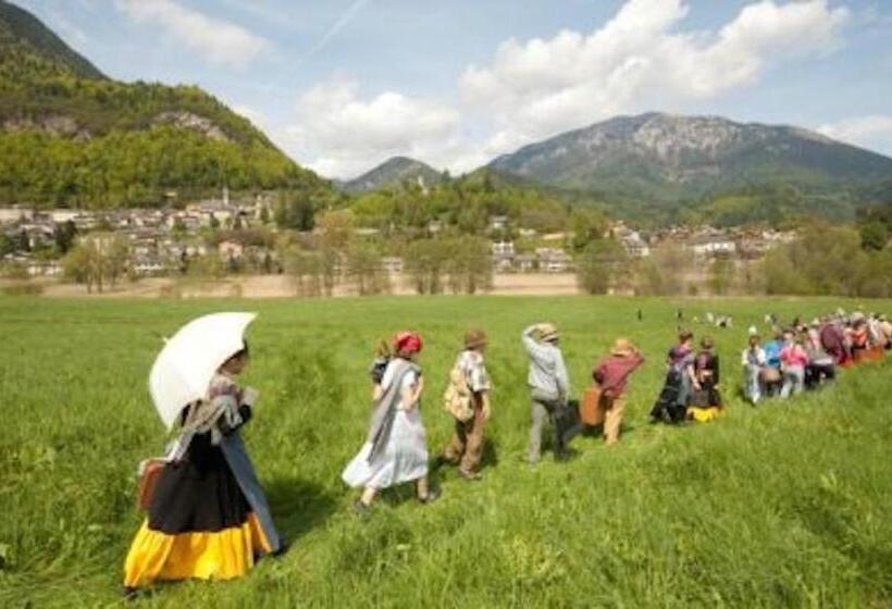 غرفة إقتصادية فردية, Taxus Hostel