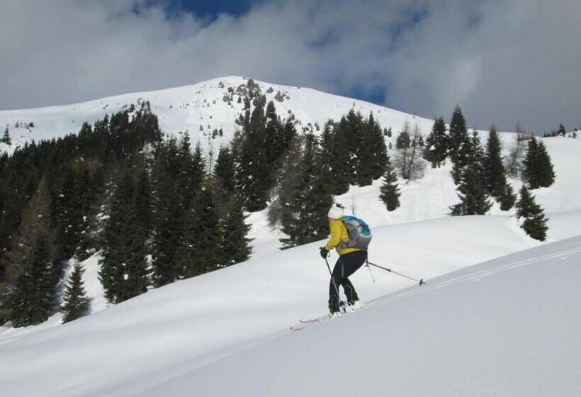 غرفة كومفورت ثلاثية, Taxus Hostel